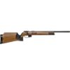 Anschütz 1761 MS R Silhouette gun14 8